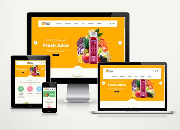 E-Ticaret Organik Ürün Satış Web Paketi