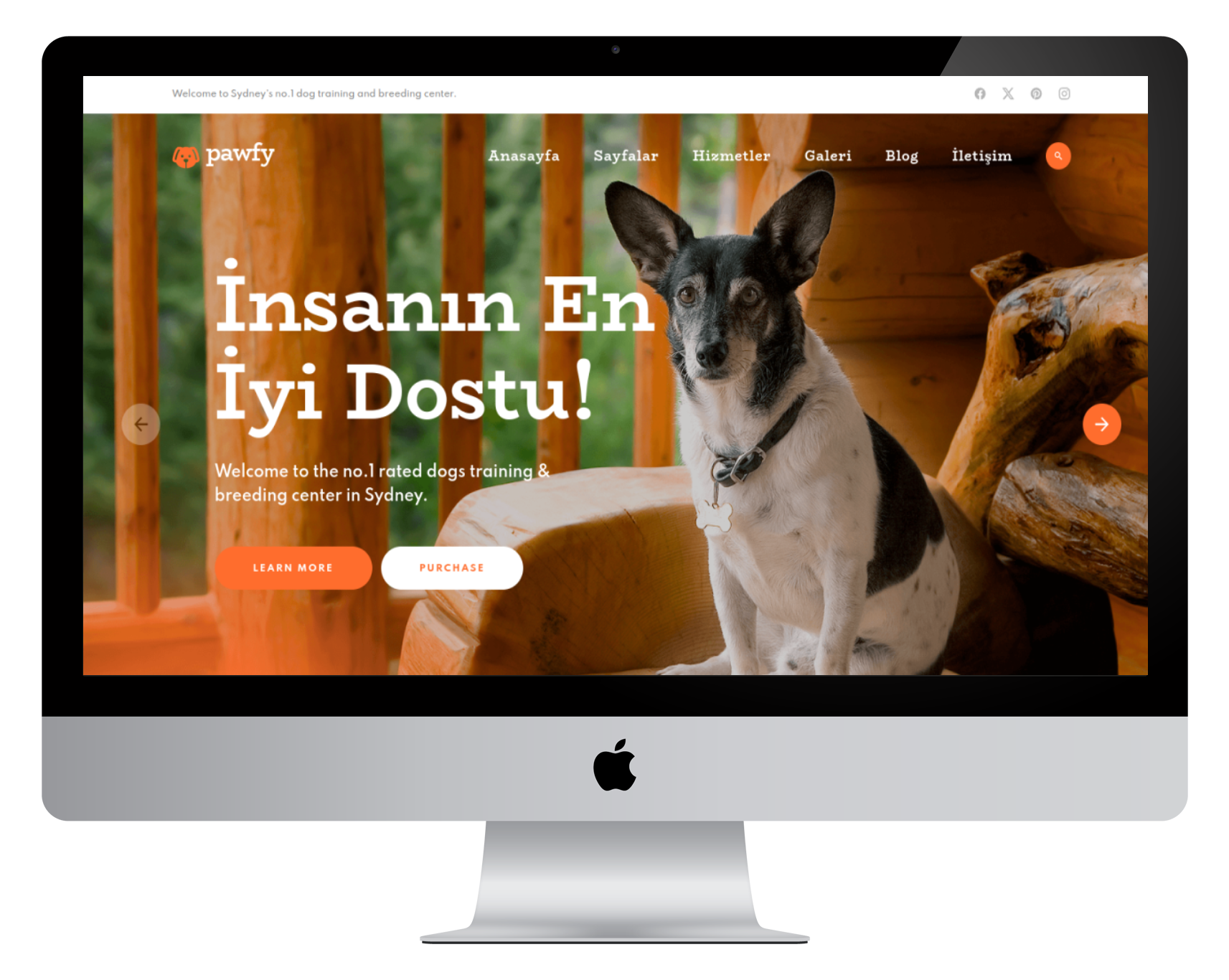Pet Eğitim Web Sitesi